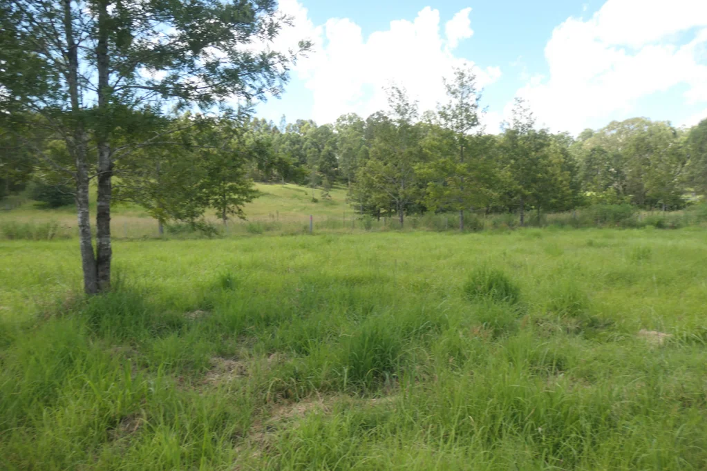 LOT 14 Lawrence Street, Tabulam, NSW 2469