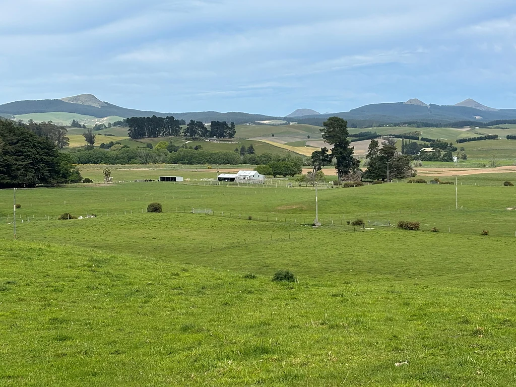 Palmerston Small Holding With Good Improvements