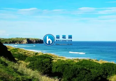 新西兰凯塔亚 (Kaitaia)