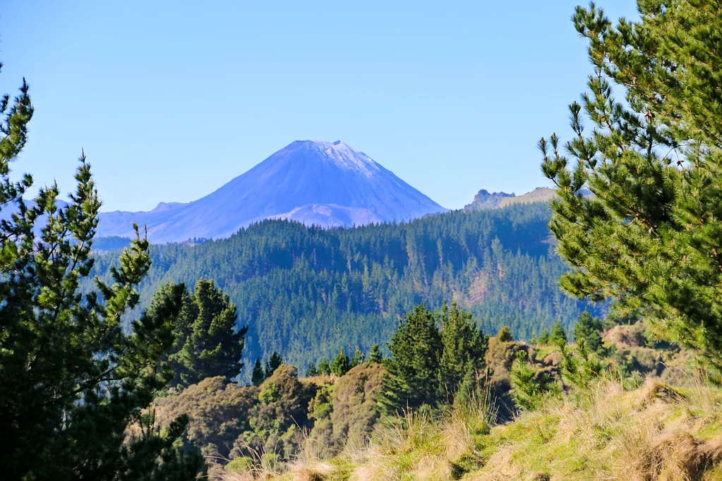 Owhango  Impressive Investment