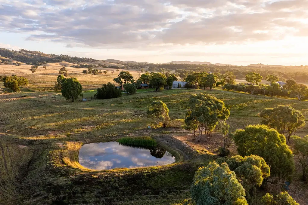 Mudgee Thistle Hill