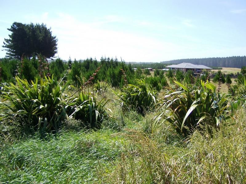 5 Kanuka Drive, Waitarere, Horowhenua, 3 rūma, 2 rūma horoi