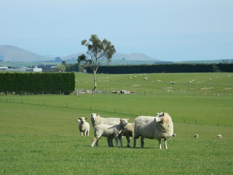 760 Springbank Road, Otaio, Waimate, 0房, 0浴