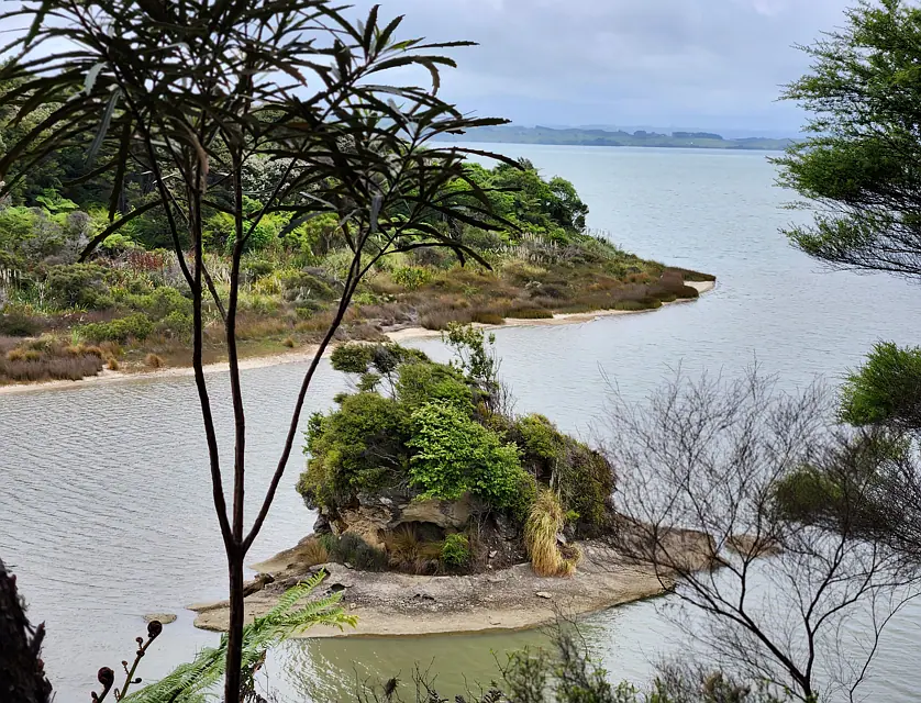 Te Papatapu Road, Raglan, Waikato, 0 침실, 0 욕실, Lifestyle Section