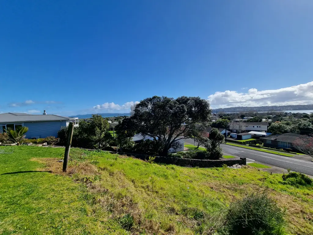 Mangere Bridge Huge Development Potential