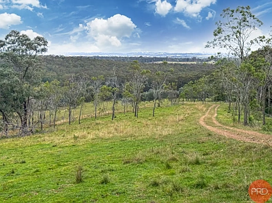 25a Forest Road, Duns Creek, NSW 2321, 0 slaapkamers, 0 badkamers, Section