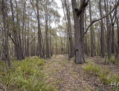 301 Gardiners Creek Road, St Marys, Launceston and North East, 0 Kuwarto, 0 Banyo, Section
