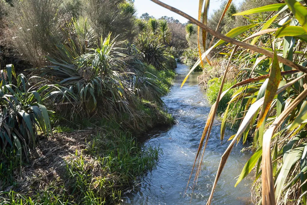 Tauwhare  Lifestyle section - Price reduced!