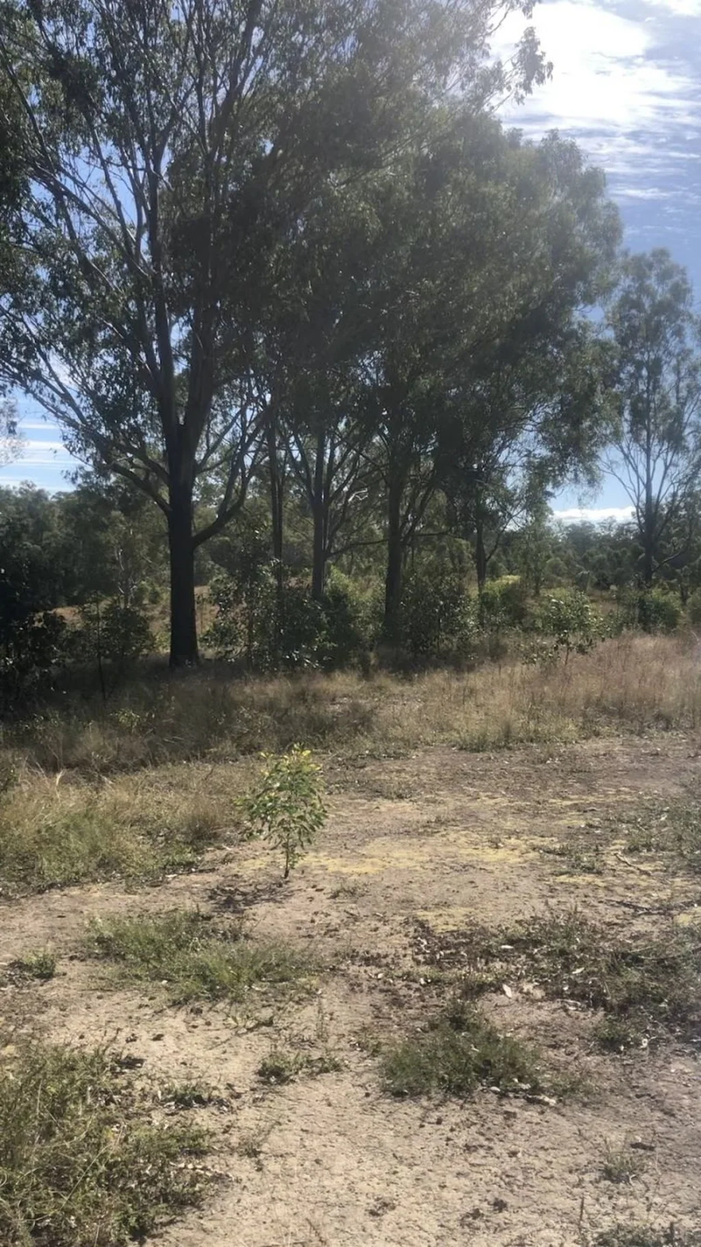 Monduran 69.1 Acre Lifestyle Block - 5 Minutes to Gin Gin