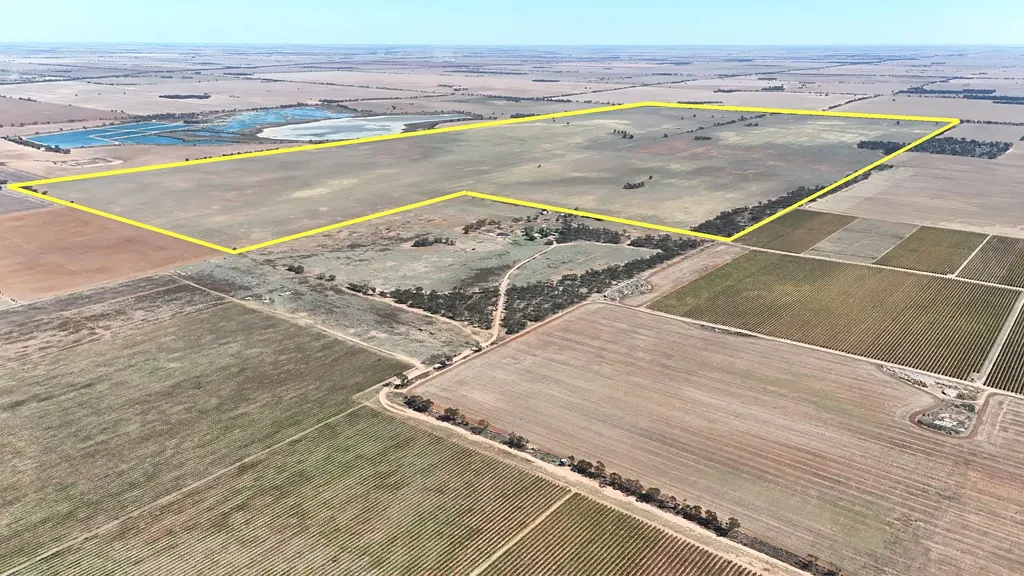 Swan Hill An Exceptional Agricultural Investment in Swan Hill's Scenic Countryside