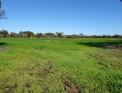 LOT 5980 Brookton Kweda Road, Aldersyde, Wheat Belt, 0 chambres, 0 salles de bain, Lifestyle Property