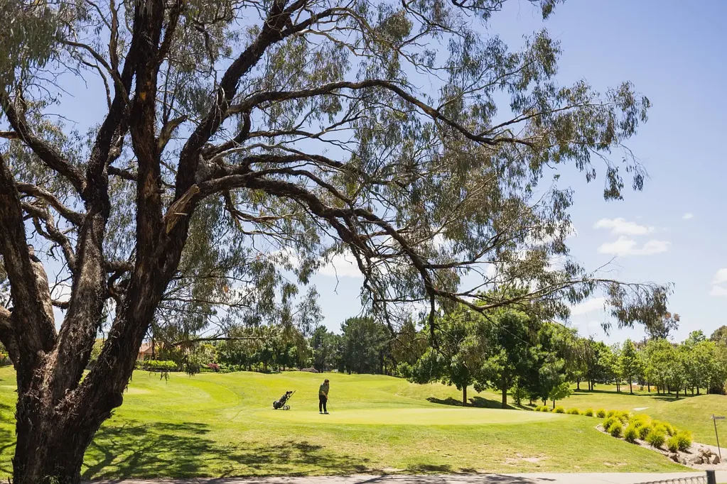 ਪਤਾ ਗੁਪਤ, Nicholls, ACT 2913