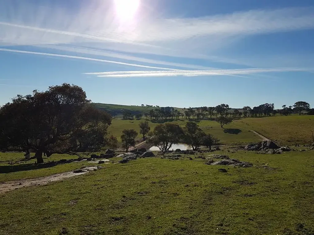 Wheeo Productive Grazing Holding with Views, Water & Improvements