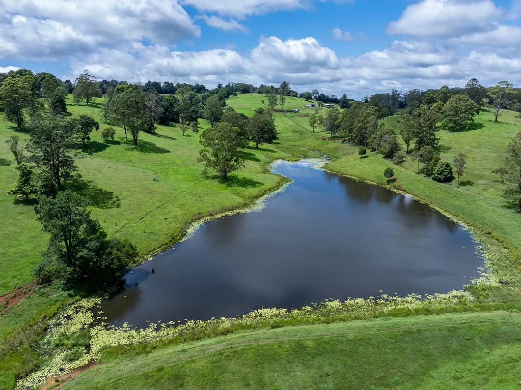 Bellthorpe "Lorayne" - Owners are Retiring, This Hinterland Gem has Endless Possibilities!