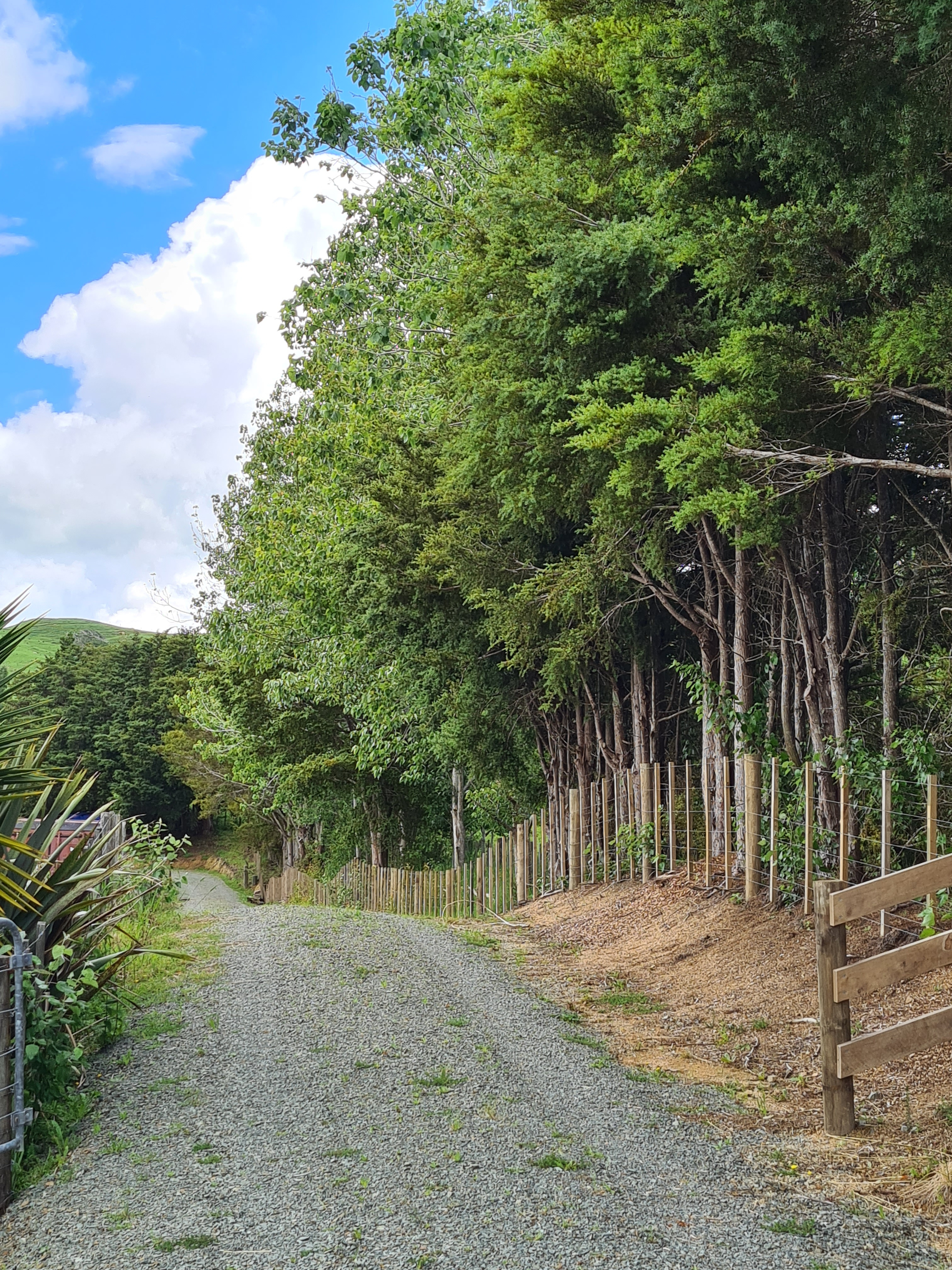 83 Payne Road, Topuni, Kaipara, 0 Bedrooms, 0 Bathrooms