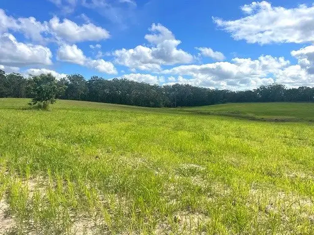 D'Aguilar LIMITED NUMBER OF 5 ACRE BLOCKS