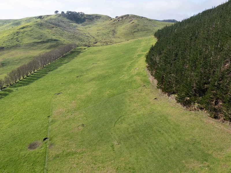 1496 Babylon Coast Road, Dargaville Surrounds, Kaipara, 0 Schlafzimmer, 0 Badezimmer