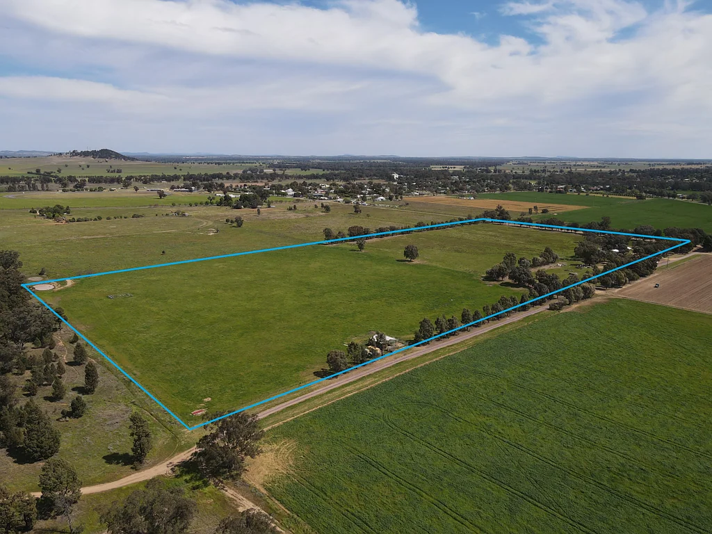 54 Hillview Lane, Eugowra, NSW 2806