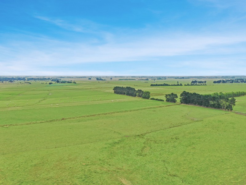 142 Linton Drain Road, Linton, Palmerston North, 0 ਕਮਰੇ, 0 ਬਾਥਰੂਮ