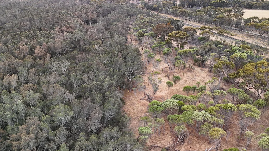 Woodanilling PRIVATE 6 ACRE BLOCK