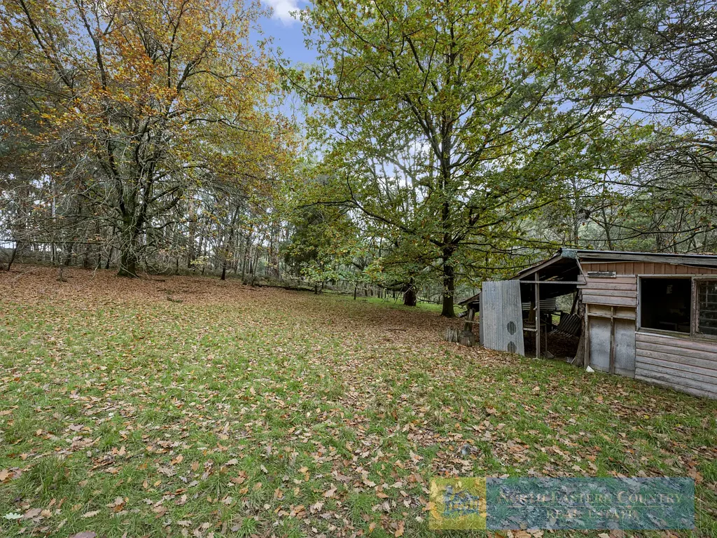Creek Junction Rare 79 Acre Hideaway - Held for 50 Years - Explore the Beautiful Timbers - Shingle Hut Creek