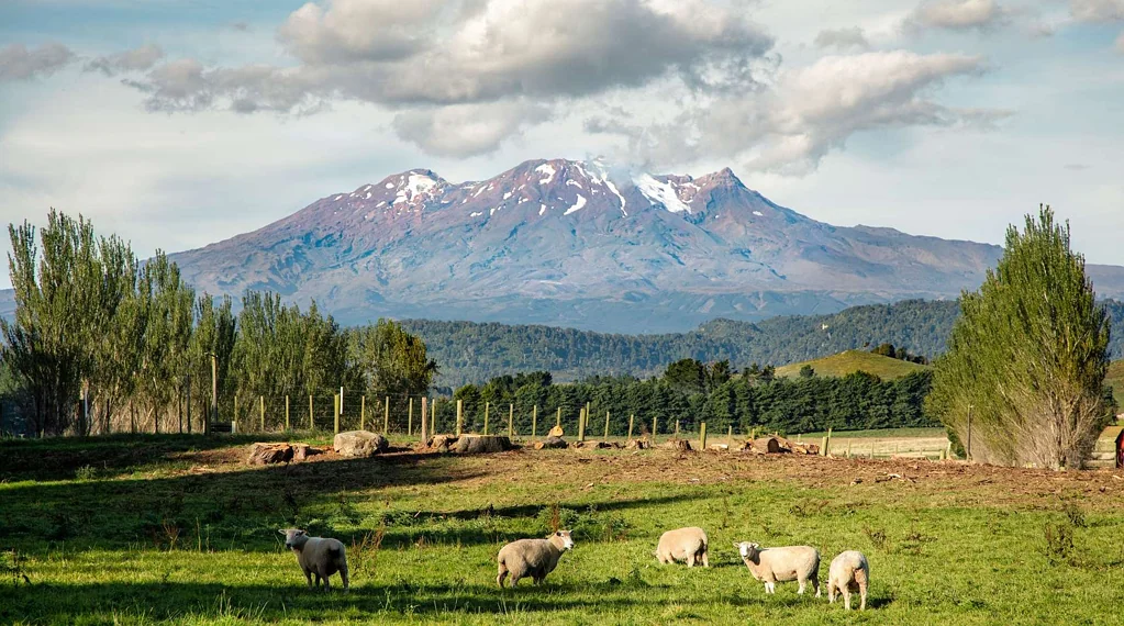 Ohakune Ohakune Lifestyle Opportunity