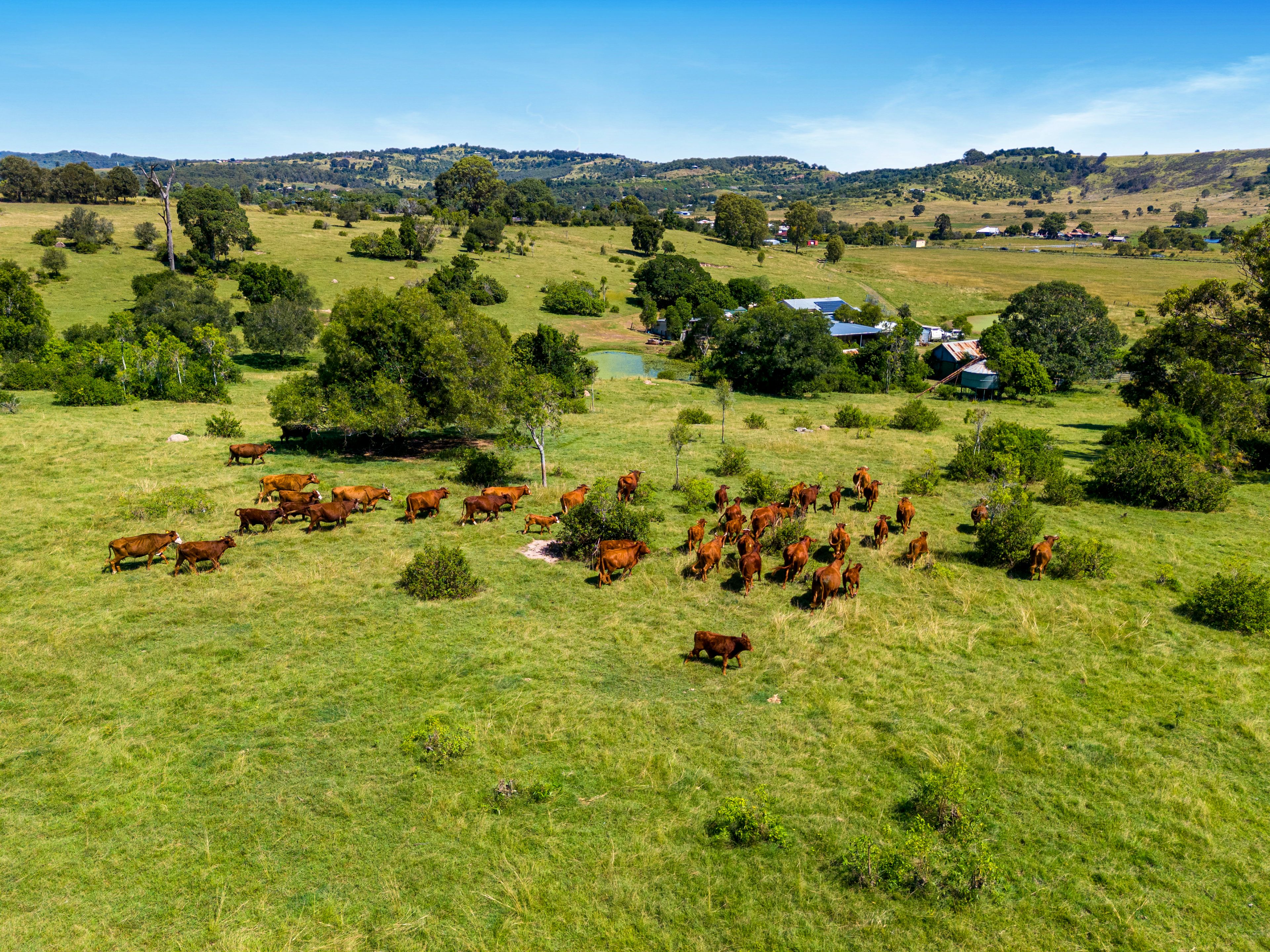 861 LOWOOD MINDEN RD, MINDEN QLD 4311, 0 chambres, 0 salles de bain, Lifestyle Property