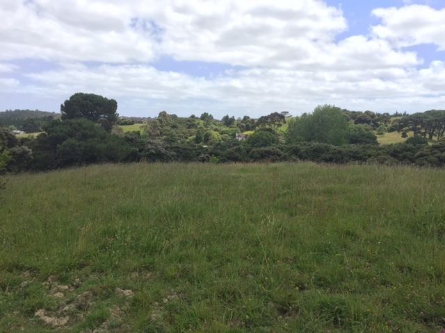 140 Ridge Road, Coatesville, Auckland - Rodney, 5 rūma, 2 rūma horoi