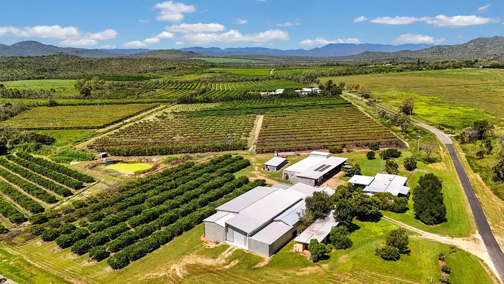 Mutchilba 35.74HA, ESTABLISHED ORCHARD FARM, MUTCHILBA