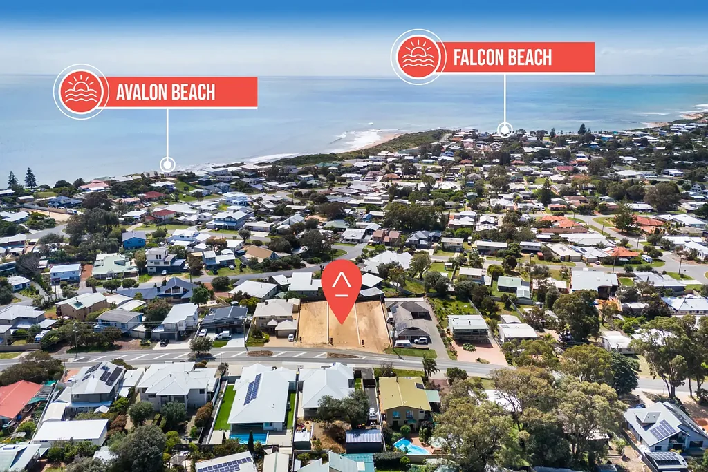 Falcon BEACHSIDE FALCON !!!