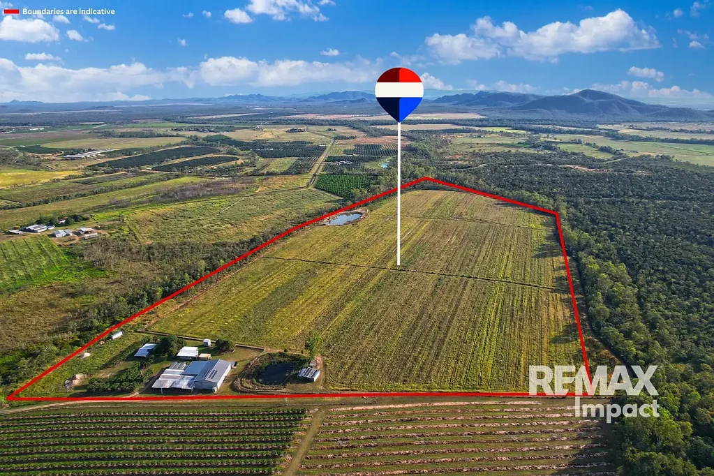 67 East Dawson Road, Mutchilba, QLD 4872