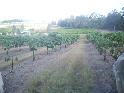 Address Withheld, Gin Gin, QLD 4671, 4 Bedrooms, 1 Bathrooms, Lifestyle Property