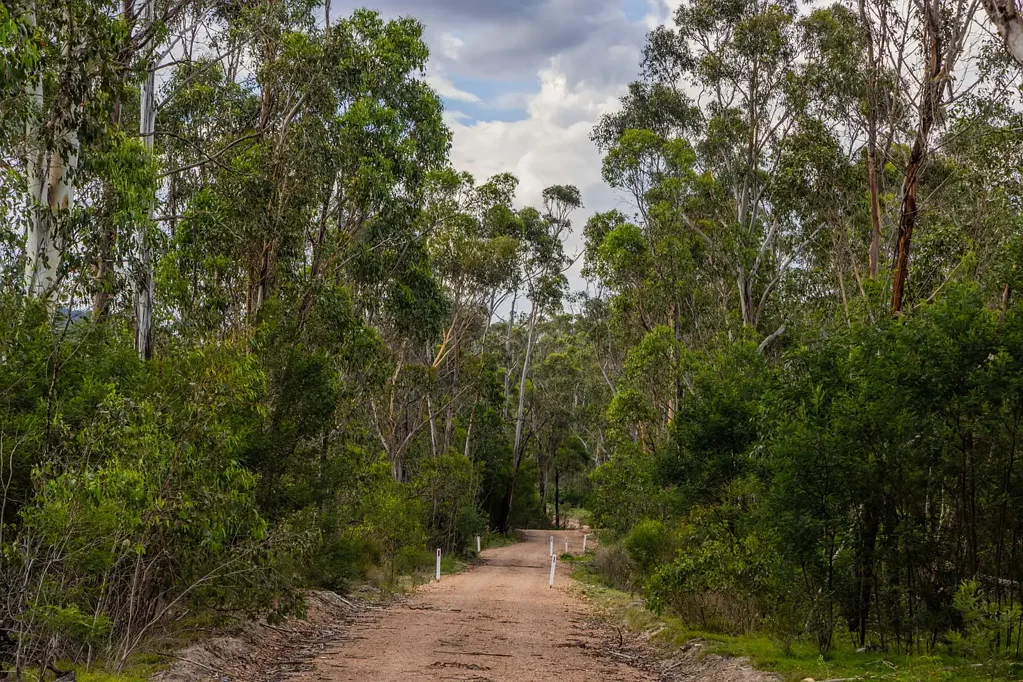 153 Murumba Rd,, Bombay, NSW 2622