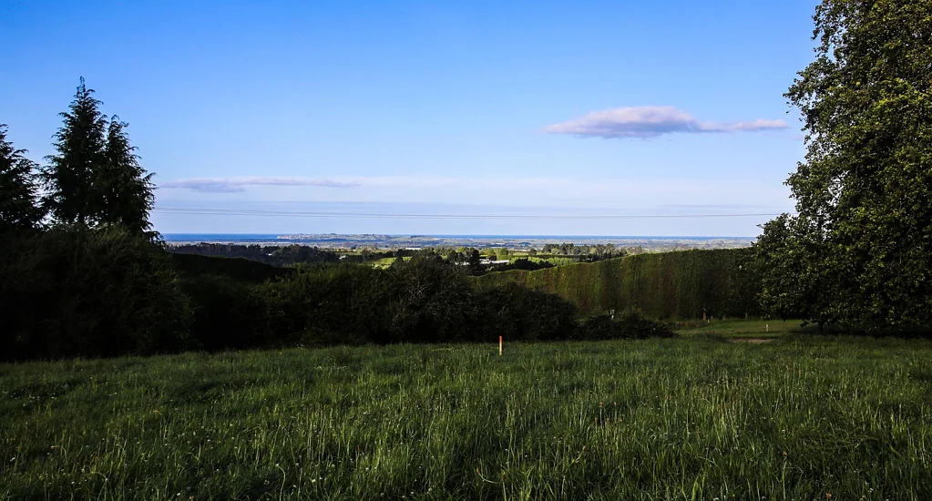 Te Puke  Wow-factor lifestyle sections