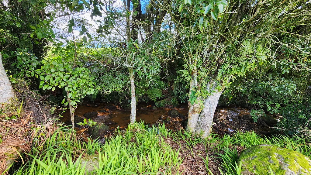 Inglewood A Stream on the Boundary