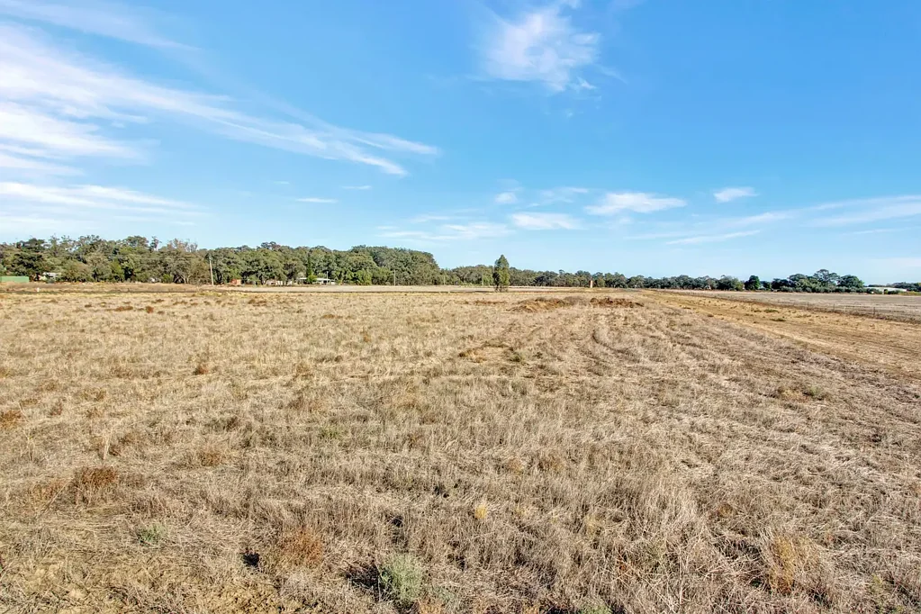 Hay  Large Land Holding