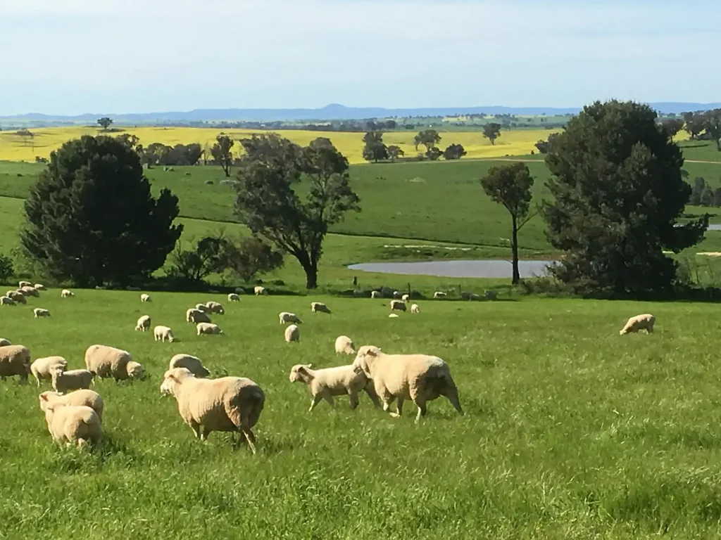 Young "Pleasant View" 174.5 Acres* With Stunning Views in Every Direction