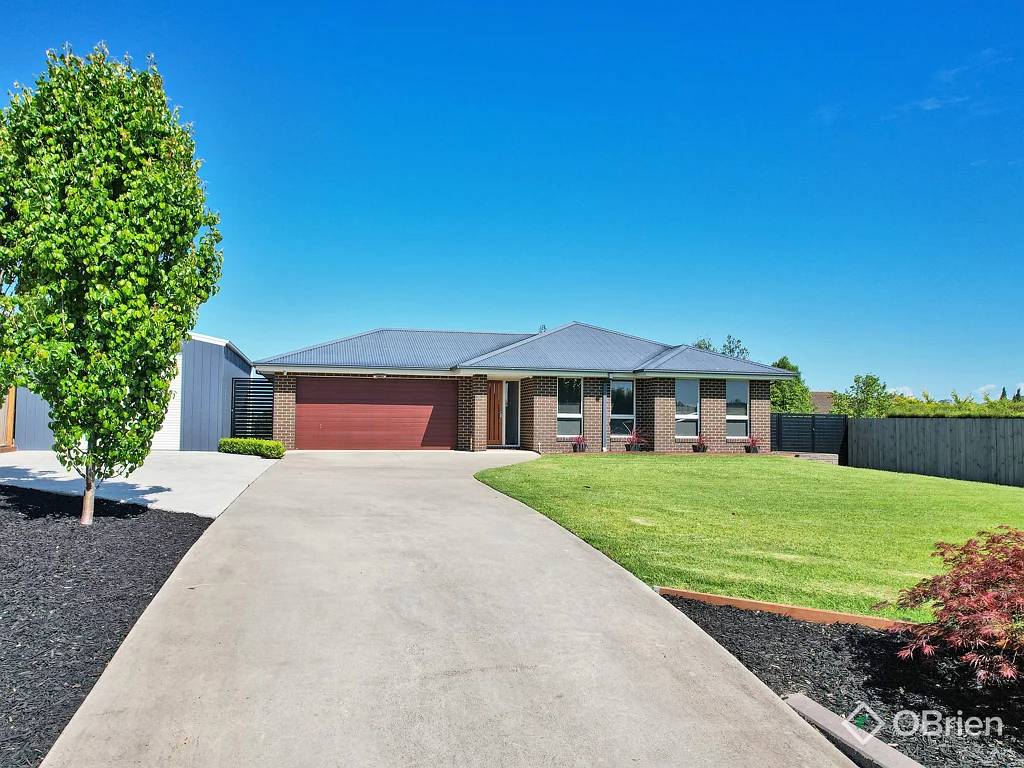 31 Morekana Crescent, Eastwood, VIC 3875