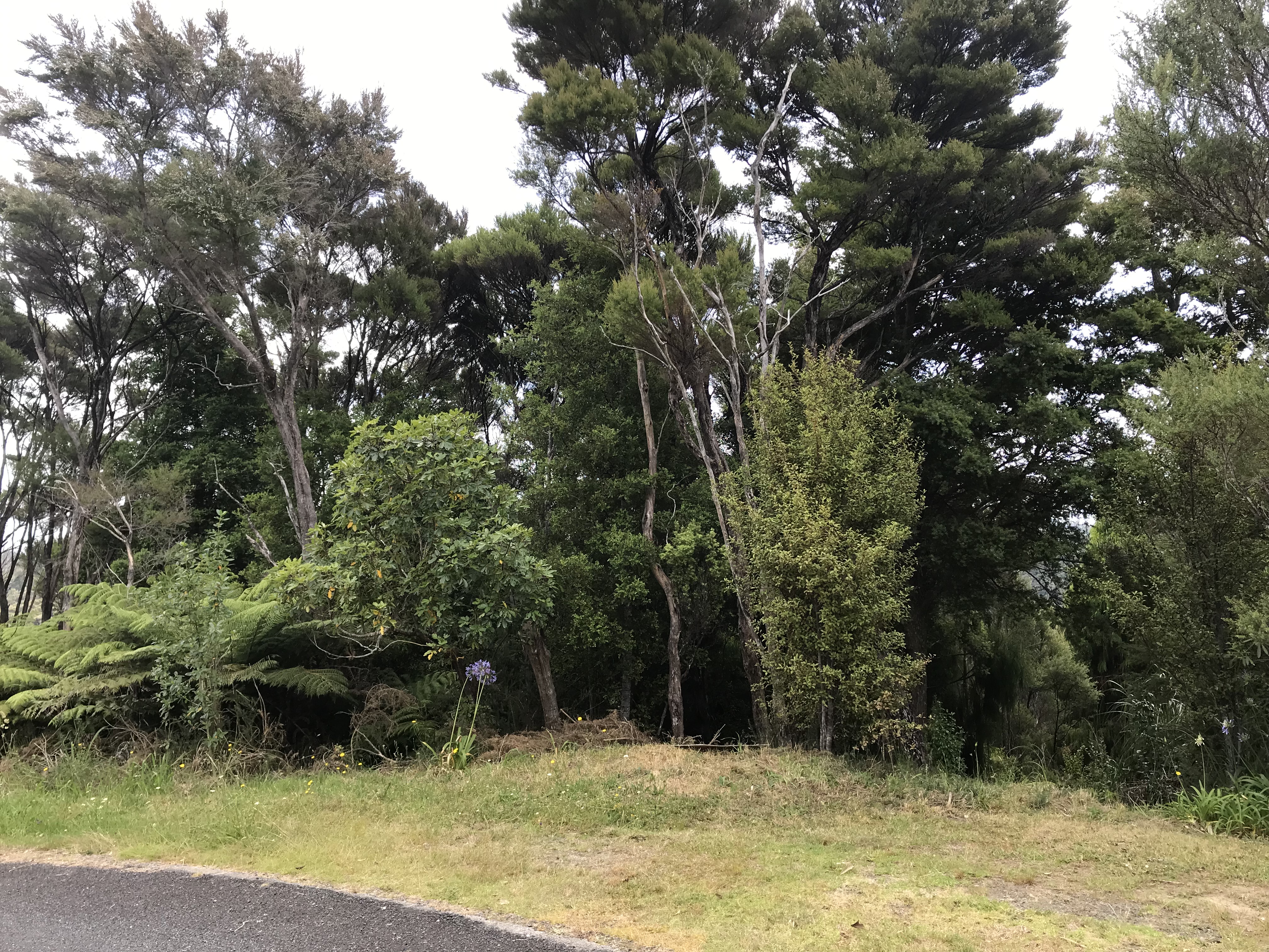 28 Broadview Road, Opua, Far North, 0 Schlafzimmer, 0 Badezimmer, Section