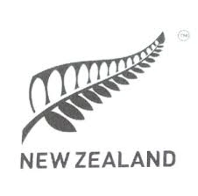 新西兰国花银蕨（fern,koru）