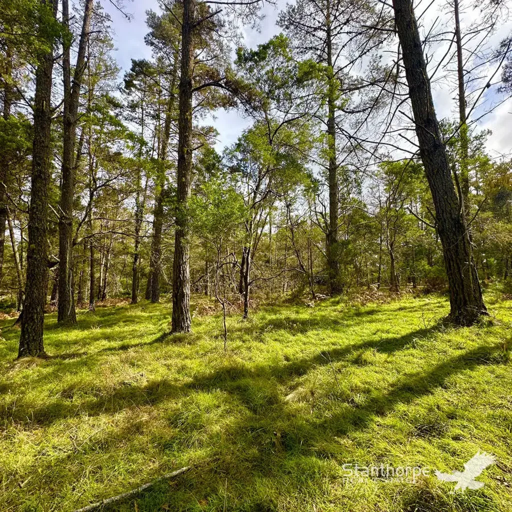 LOT 157 Blackbutt Road, Sugarloaf, QLD 4380