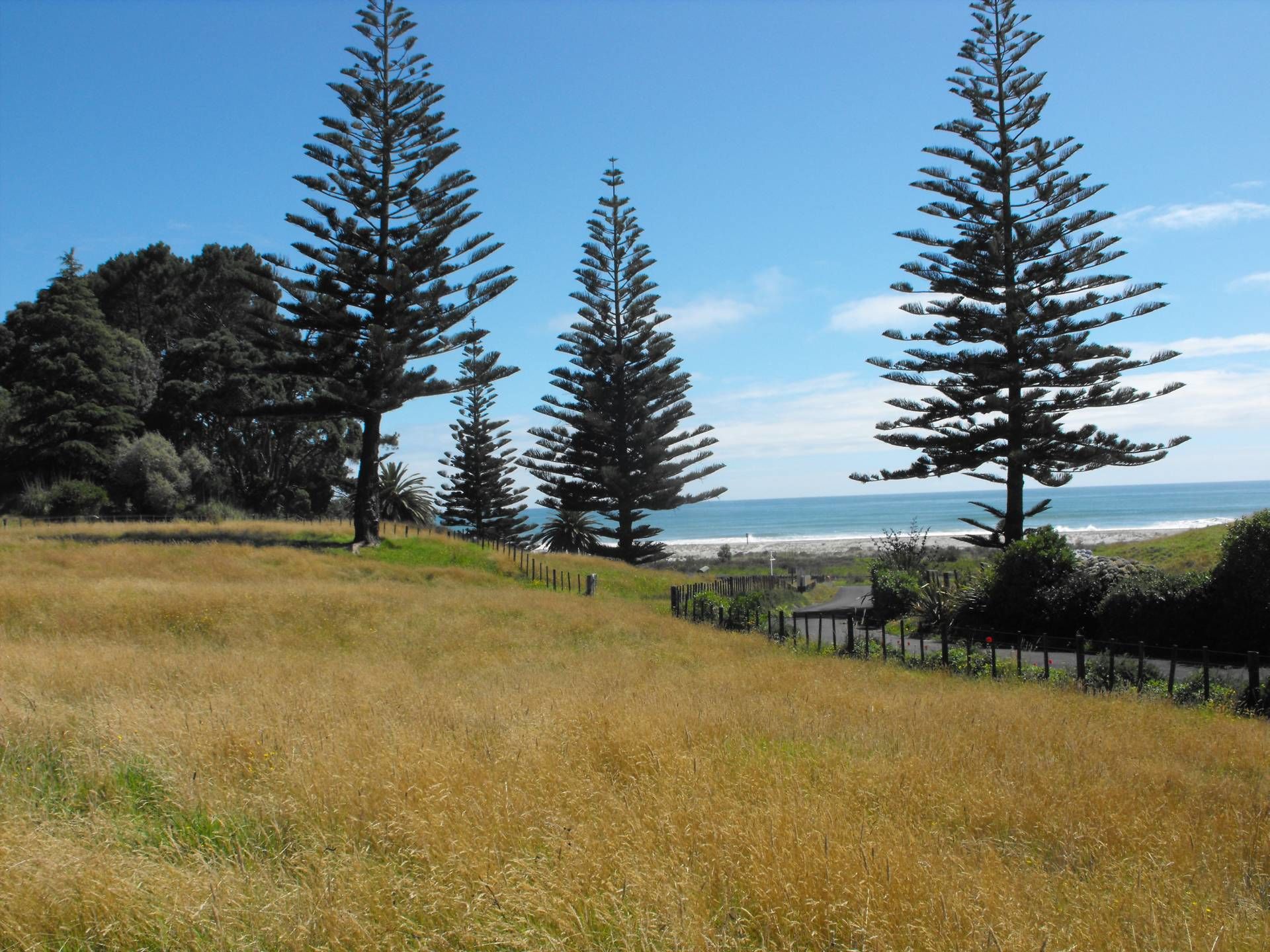 603 State Highway 2 West, Pikowai, Whakatane, 4 rūma, 0 rūma horoi