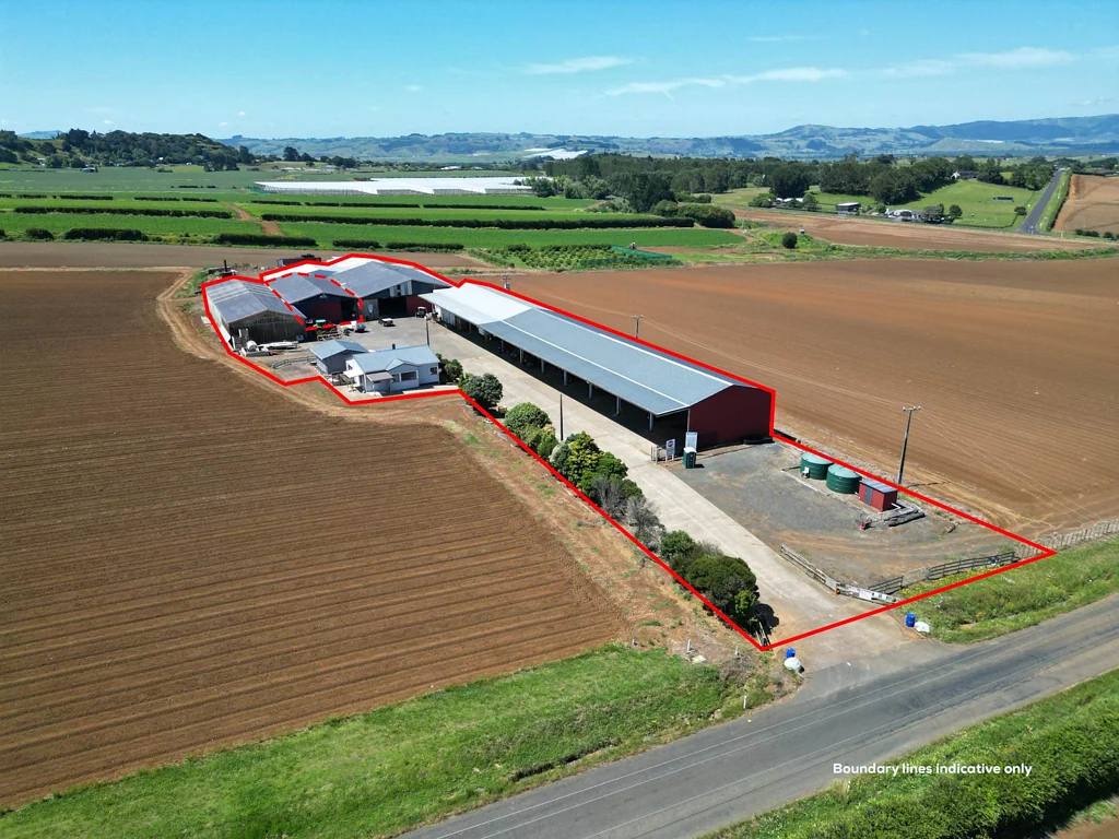 Pukekohe PRIME RURAL HUB WITH YARD