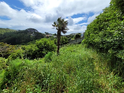18 Miles Crescent, Newlands, Wellington, 0 chambres, 0 salles de bain, Section