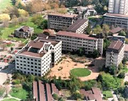 如果想在奥克兰以外的地区上学，有哪些选择？