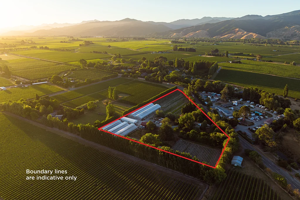 Spring Creek Marlborough strawberries & produce on 2.9 ha land