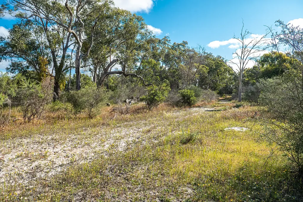 Bambun  DEVELOP AS YOU WILL or LANDBANK FOR THE FUTURE