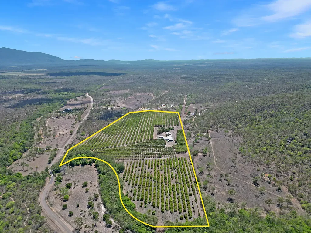 Woodstock 3Zimmer CREEKSIDE HOMESTEAD AND MANGO FARM