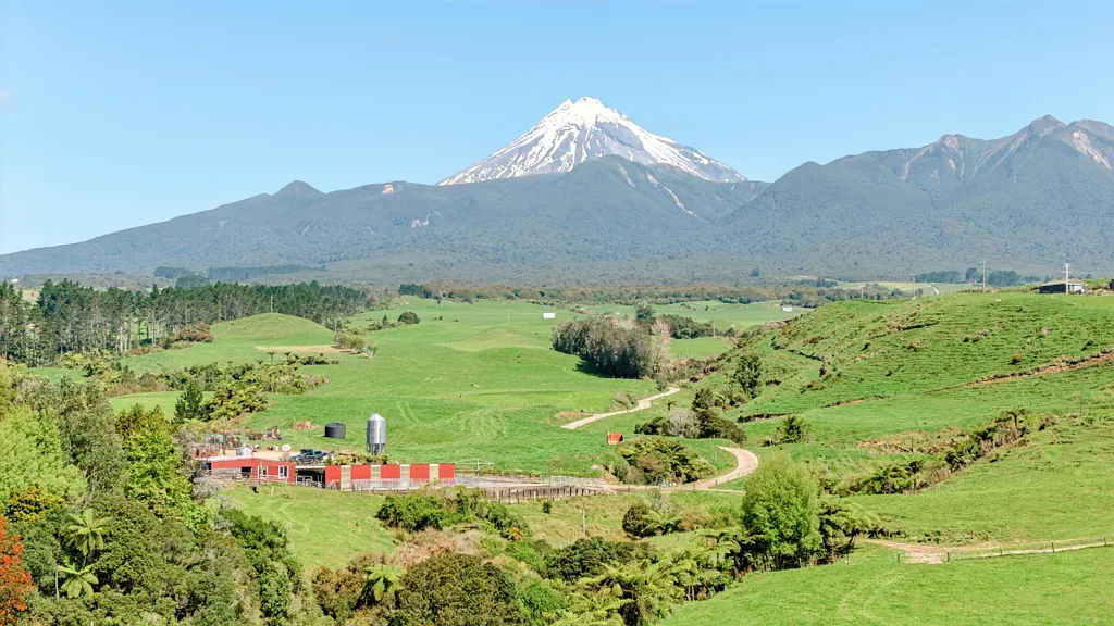 Koru Great Taranaki First Farm Opportunity