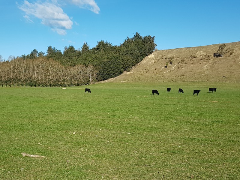 17 Esk Bank Road, Otaio, Waimate, 4 Kuwarto, 0 Banyo